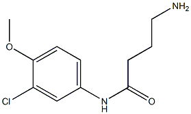 4-amino-N-(3-chloro-4-methoxyphenyl)butanamide 구조식 이미지