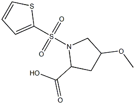 4-methoxy-1-(thien-2-ylsulfonyl)pyrrolidine-2-carboxylic acid Structure