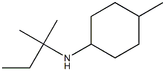 4-methyl-N-(2-methylbutan-2-yl)cyclohexan-1-amine Structure