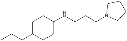 4-propyl-N-[3-(pyrrolidin-1-yl)propyl]cyclohexan-1-amine 구조식 이미지