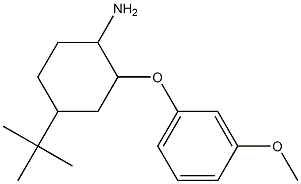 4-tert-butyl-2-(3-methoxyphenoxy)cyclohexan-1-amine Structure