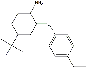 4-tert-butyl-2-(4-ethylphenoxy)cyclohexan-1-amine Structure