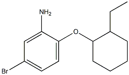 5-bromo-2-[(2-ethylcyclohexyl)oxy]aniline Structure