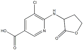 5-chloro-6-[(2-oxooxolan-3-yl)amino]pyridine-3-carboxylic acid Structure