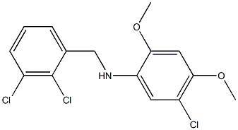 5-chloro-N-[(2,3-dichlorophenyl)methyl]-2,4-dimethoxyaniline 구조식 이미지