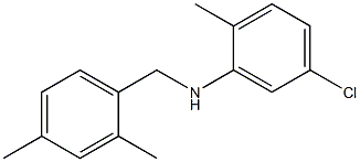 5-chloro-N-[(2,4-dimethylphenyl)methyl]-2-methylaniline 구조식 이미지