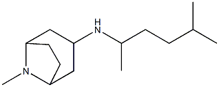 8-methyl-N-(5-methylhexan-2-yl)-8-azabicyclo[3.2.1]octan-3-amine 구조식 이미지
