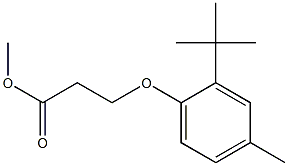 methyl 3-(2-tert-butyl-4-methylphenoxy)propanoate Structure