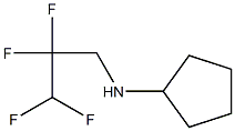 N-(2,2,3,3-tetrafluoropropyl)cyclopentanamine 구조식 이미지