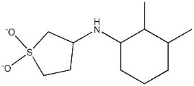 N-(2,3-dimethylcyclohexyl)-N-(1,1-dioxidotetrahydrothien-3-yl)amine Structure