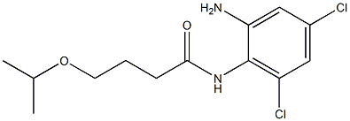 N-(2-amino-4,6-dichlorophenyl)-4-(propan-2-yloxy)butanamide Structure