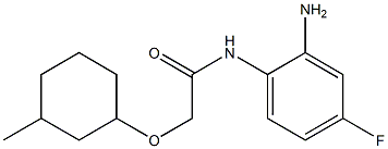 N-(2-amino-4-fluorophenyl)-2-[(3-methylcyclohexyl)oxy]acetamide 구조식 이미지