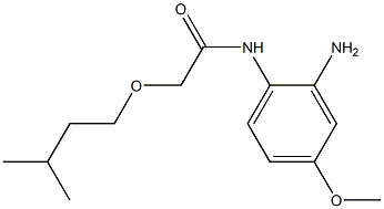 N-(2-amino-4-methoxyphenyl)-2-(3-methylbutoxy)acetamide Structure