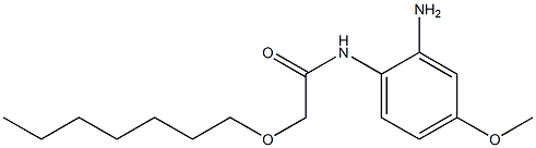 N-(2-amino-4-methoxyphenyl)-2-(heptyloxy)acetamide 구조식 이미지