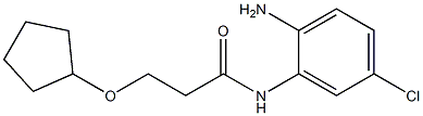 N-(2-amino-5-chlorophenyl)-3-(cyclopentyloxy)propanamide 구조식 이미지