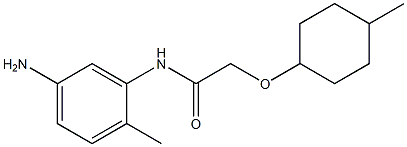 N-(5-amino-2-methylphenyl)-2-[(4-methylcyclohexyl)oxy]acetamide Structure