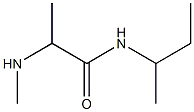 N-(butan-2-yl)-2-(methylamino)propanamide 구조식 이미지