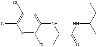 N-(butan-2-yl)-2-[(2,4,5-trichlorophenyl)amino]propanamide Structure