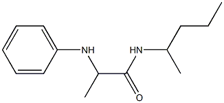 N-(pentan-2-yl)-2-(phenylamino)propanamide 구조식 이미지