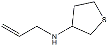 N-(prop-2-en-1-yl)thiolan-3-amine Structure