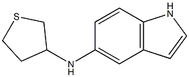 N-(thiolan-3-yl)-1H-indol-5-amine Structure