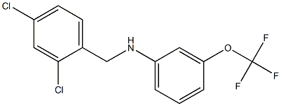 N-[(2,4-dichlorophenyl)methyl]-3-(trifluoromethoxy)aniline 구조식 이미지