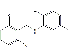 N-[(2,6-dichlorophenyl)methyl]-2-methoxy-5-methylaniline 구조식 이미지