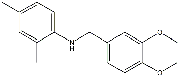 N-[(3,4-dimethoxyphenyl)methyl]-2,4-dimethylaniline 구조식 이미지