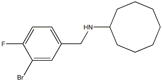 N-[(3-bromo-4-fluorophenyl)methyl]cyclooctanamine 구조식 이미지