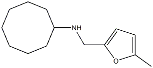 N-[(5-methylfuran-2-yl)methyl]cyclooctanamine Structure