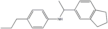 N-[1-(2,3-dihydro-1H-inden-5-yl)ethyl]-4-propylaniline 구조식 이미지