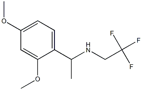 N-[1-(2,4-dimethoxyphenyl)ethyl]-N-(2,2,2-trifluoroethyl)amine Structure