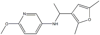 N-[1-(2,5-dimethylfuran-3-yl)ethyl]-6-methoxypyridin-3-amine Structure