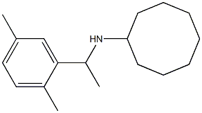 N-[1-(2,5-dimethylphenyl)ethyl]cyclooctanamine 구조식 이미지