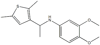 N-[1-(2,5-dimethylthiophen-3-yl)ethyl]-3,4-dimethoxyaniline Structure