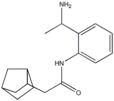 N-[2-(1-aminoethyl)phenyl]-2-{bicyclo[2.2.1]heptan-2-yl}acetamide 구조식 이미지