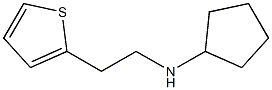 N-[2-(thiophen-2-yl)ethyl]cyclopentanamine Structure