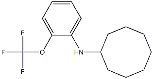 N-[2-(trifluoromethoxy)phenyl]cyclooctanamine 구조식 이미지