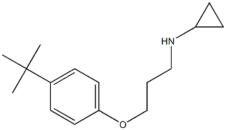 N-[3-(4-tert-butylphenoxy)propyl]cyclopropanamine Structure