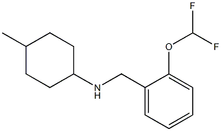 N-{[2-(difluoromethoxy)phenyl]methyl}-4-methylcyclohexan-1-amine Structure