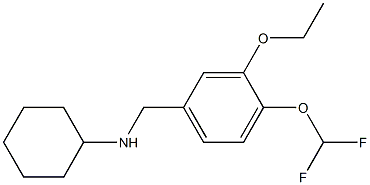 N-{[4-(difluoromethoxy)-3-ethoxyphenyl]methyl}cyclohexanamine Structure