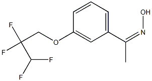 N-{1-[3-(2,2,3,3-tetrafluoropropoxy)phenyl]ethylidene}hydroxylamine 구조식 이미지