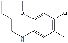 N-butyl-4-chloro-2-methoxy-5-methylaniline 구조식 이미지