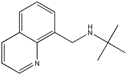tert-butyl(quinolin-8-ylmethyl)amine 구조식 이미지