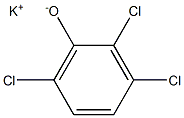 Potassium 2,3,6-trichlorophenolate Structure