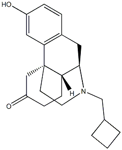 17-Cyclobutylmethyl-3-hydroxymorphinan-6-one Structure