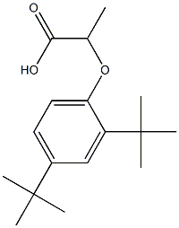 2-(2,4-Di-tert-butylphenoxy)propanoic acid 구조식 이미지