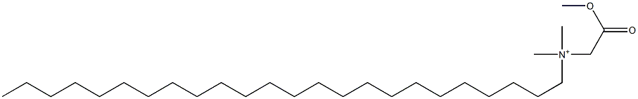 N-(Methoxycarbonylmethyl)-N,N-dimethyl-1-tetracosanaminium 구조식 이미지