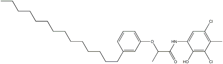 2-[2-(3-Tetradecylphenoxy)propanoylamino]-4,6-dichloro-5-methylphenol 구조식 이미지