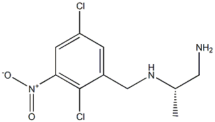 (2S)-2-[(3-Nitro-2,5-dichlorobenzyl)amino]propan-1-amine 구조식 이미지
